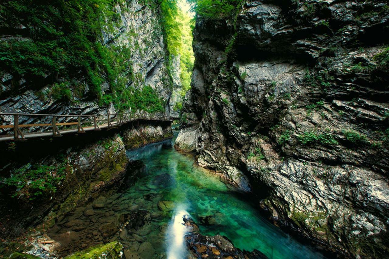 Paradise Bled